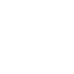 Fleet